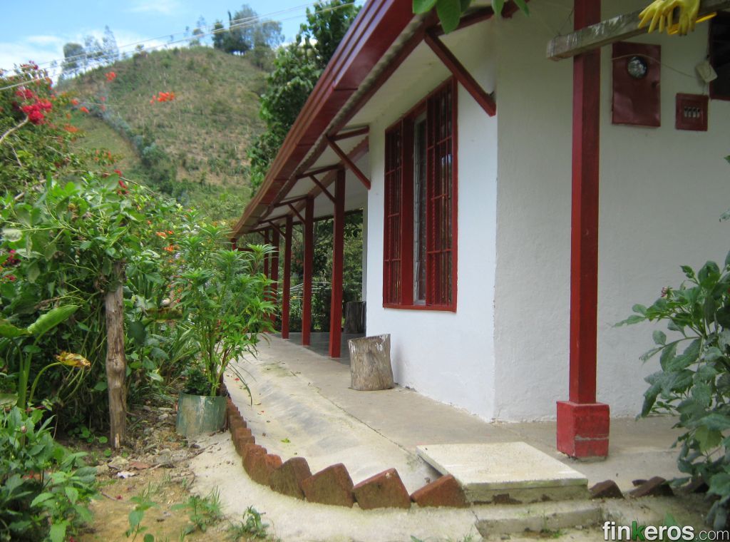 CECILIA SERRANO DIAZ - Finca en Floridablanca, Santander